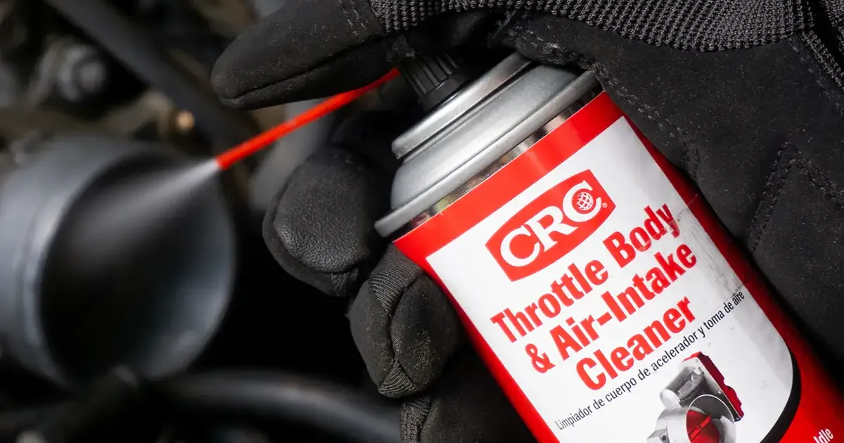 Throttle Body/Induction Cleaning Service